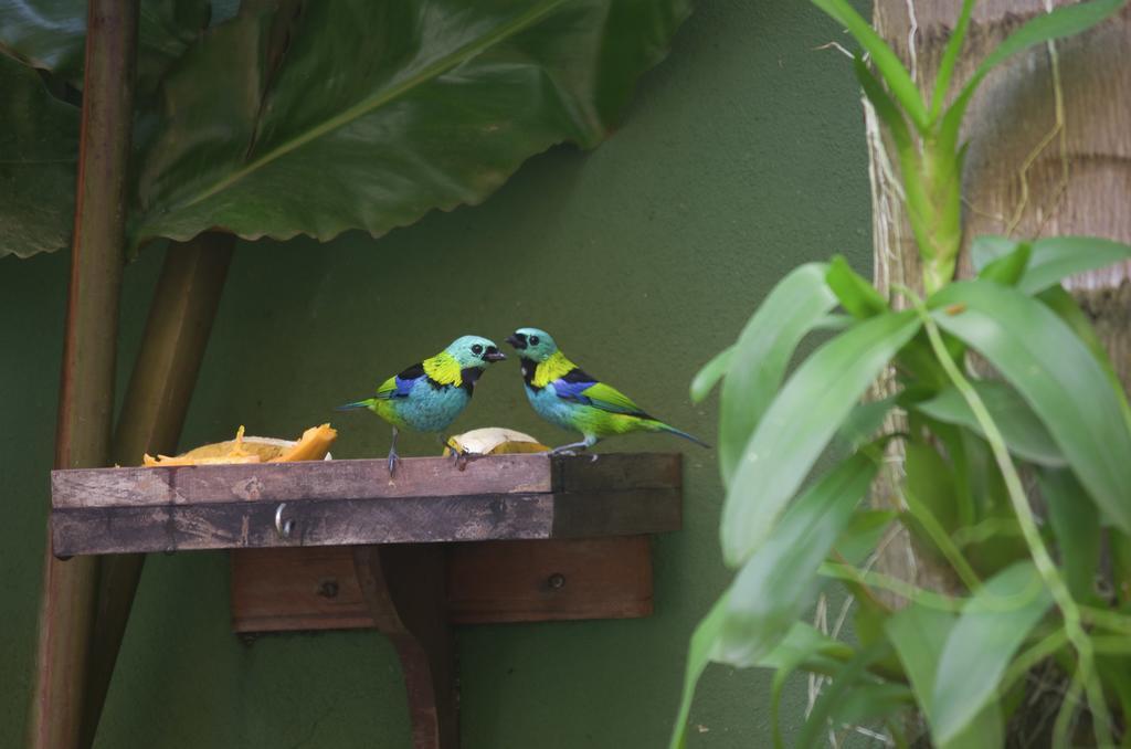 Pousada Refugio Tropical 파라티 외부 사진